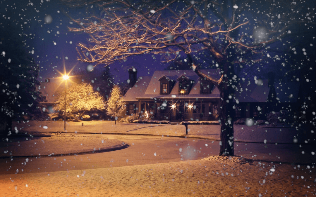 How to Protect Your Lawn from the Winter Weather
