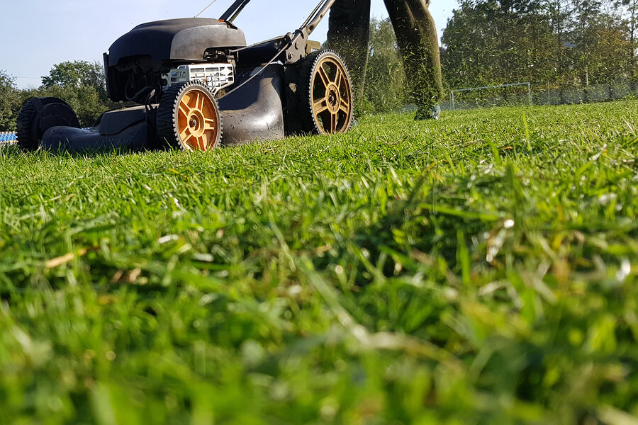 The Secret to Winterizing Your Lawn: Starting in Spring