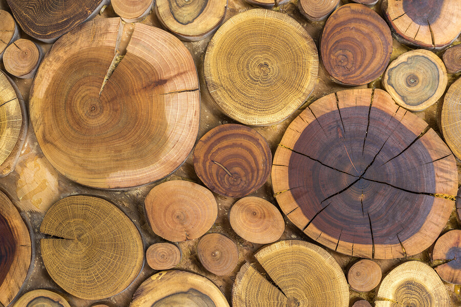8 Things to Look for in 100% Solid Hardwood Furniture