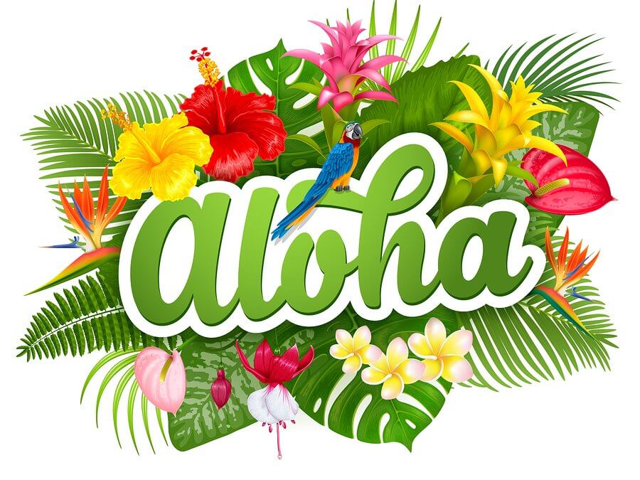 What to Consider While Choosing a Stay in Hawaii