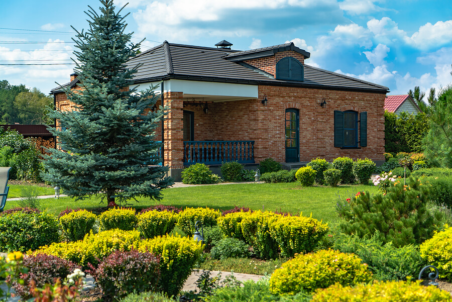 4 Ways To Bring Nature Into Your Home