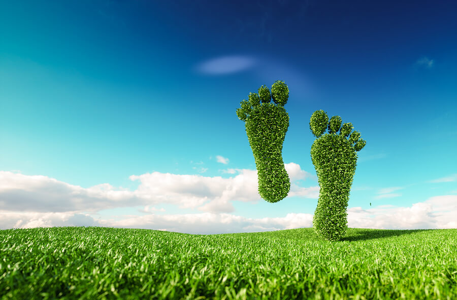 Eco-friendly ways to keep a healthy home