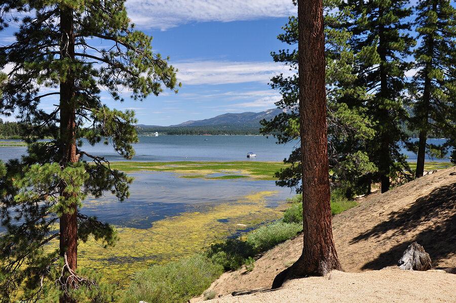 7 Fun Activities to Do While Vacationing in Big Bear Lake