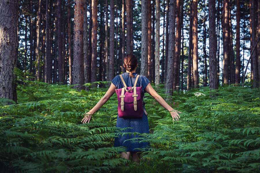 A guide to the most beautiful rain forests of the world