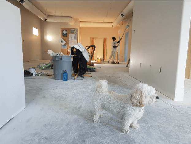 home improvements before selling