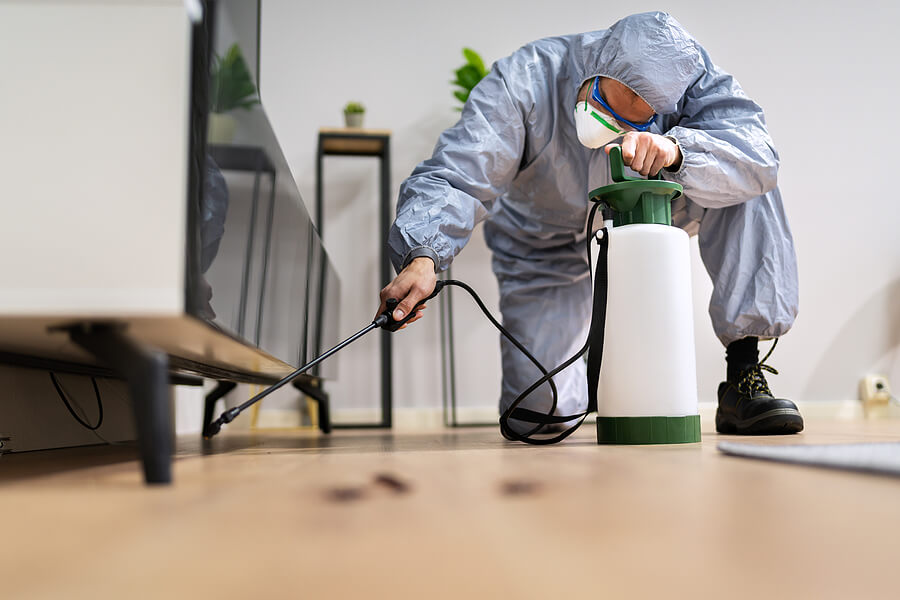 when to call a professional exterminator
