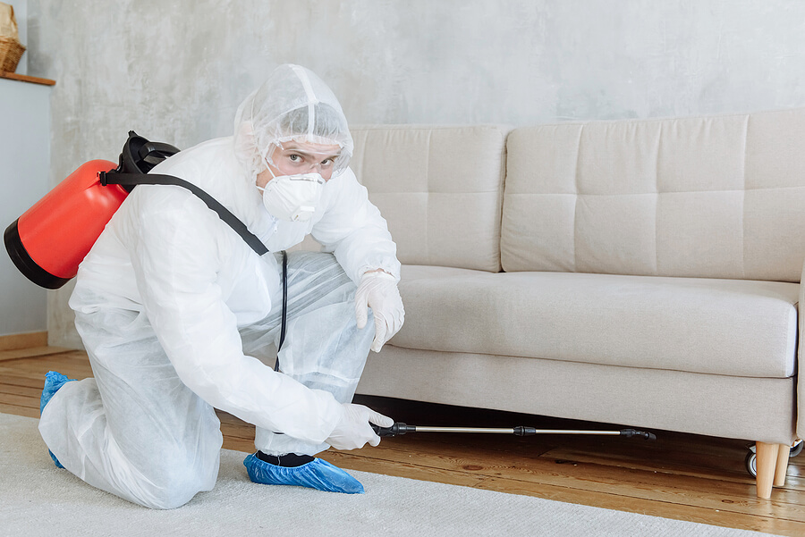 Choosing easily disinfected furniture