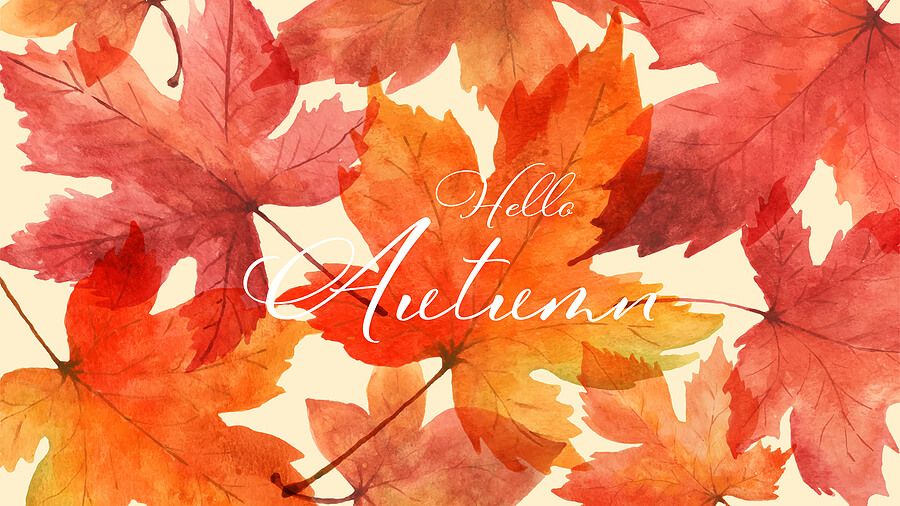 Autumn Answers: What Is the Trendiest Interior Paint Color for Fall 2021?