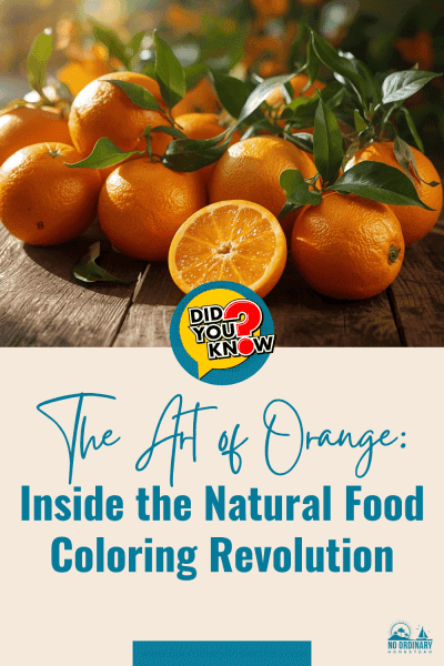 What is the art of Orange?