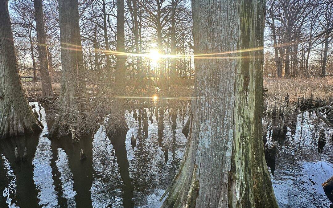 Reelfoot Lake State Park RV Getaway