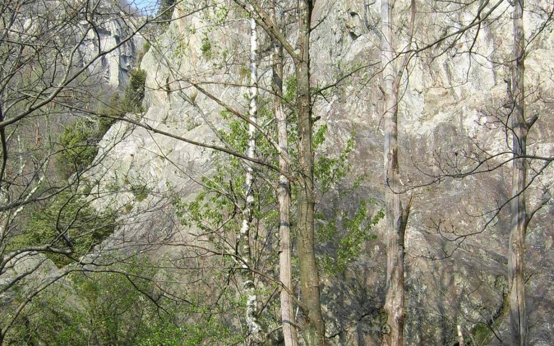Not the best day for climbing