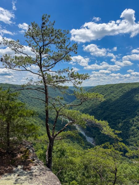 View over New River Gorge National Park