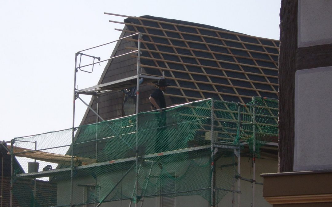 Roofers in costume