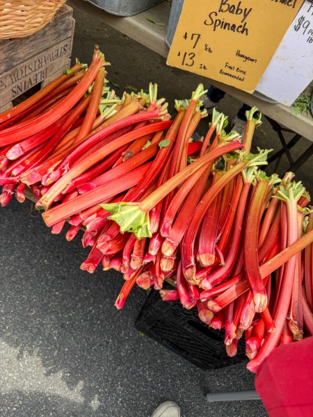 Bundles of fresh rhubarb at a DC farmers market